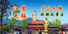 大鸡巴操骚逼视频免费的江苏无锡灵山大佛旅游风景区