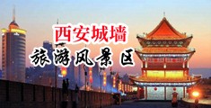 av.jj.777中国陕西-西安城墙旅游风景区